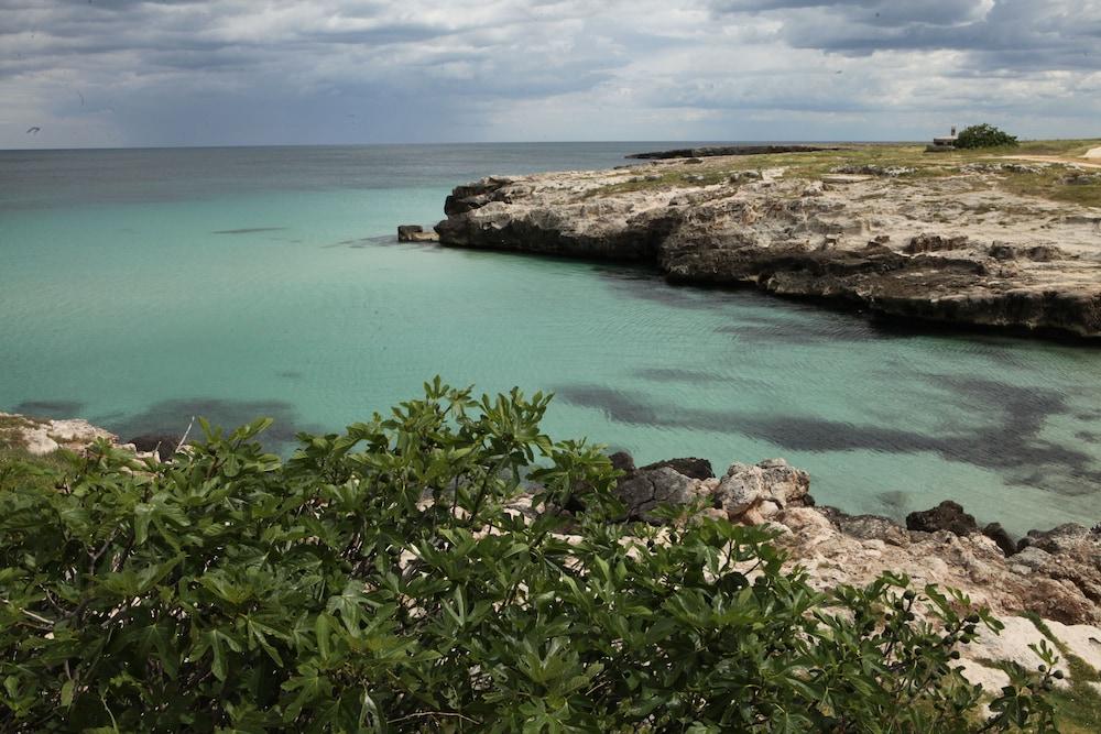 Playa Del Mar - Adults Only Bed & Breakfast Monopoli Dış mekan fotoğraf