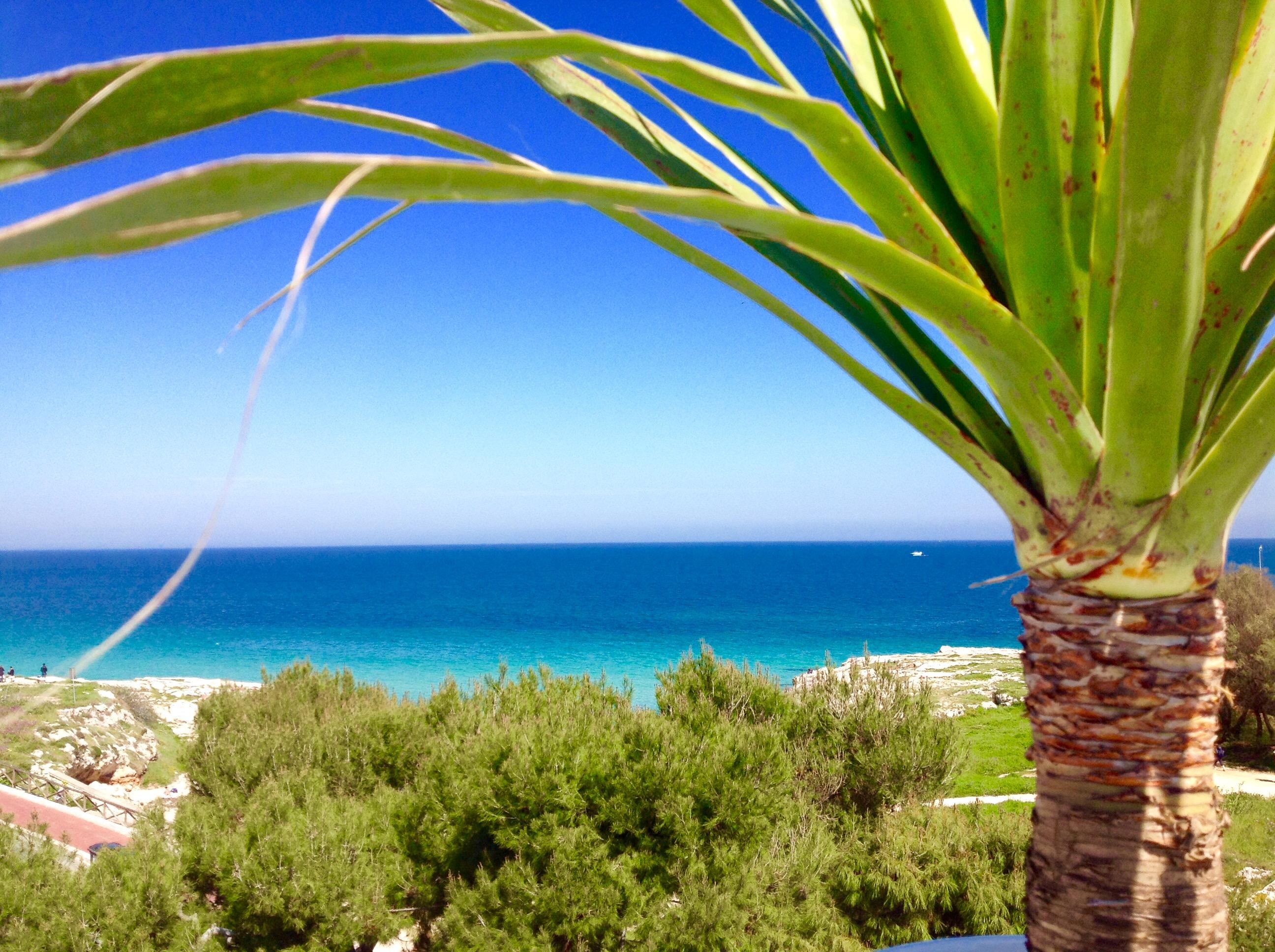 Playa Del Mar - Adults Only Bed & Breakfast Monopoli Dış mekan fotoğraf
