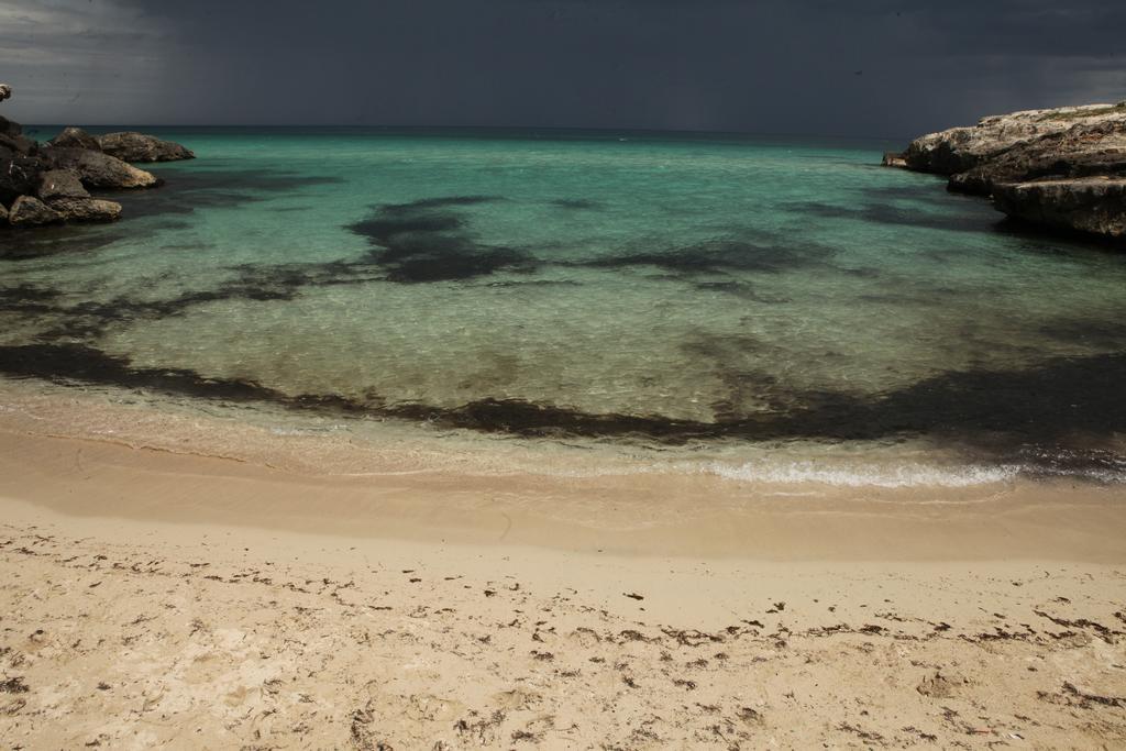 Playa Del Mar - Adults Only Bed & Breakfast Monopoli Dış mekan fotoğraf