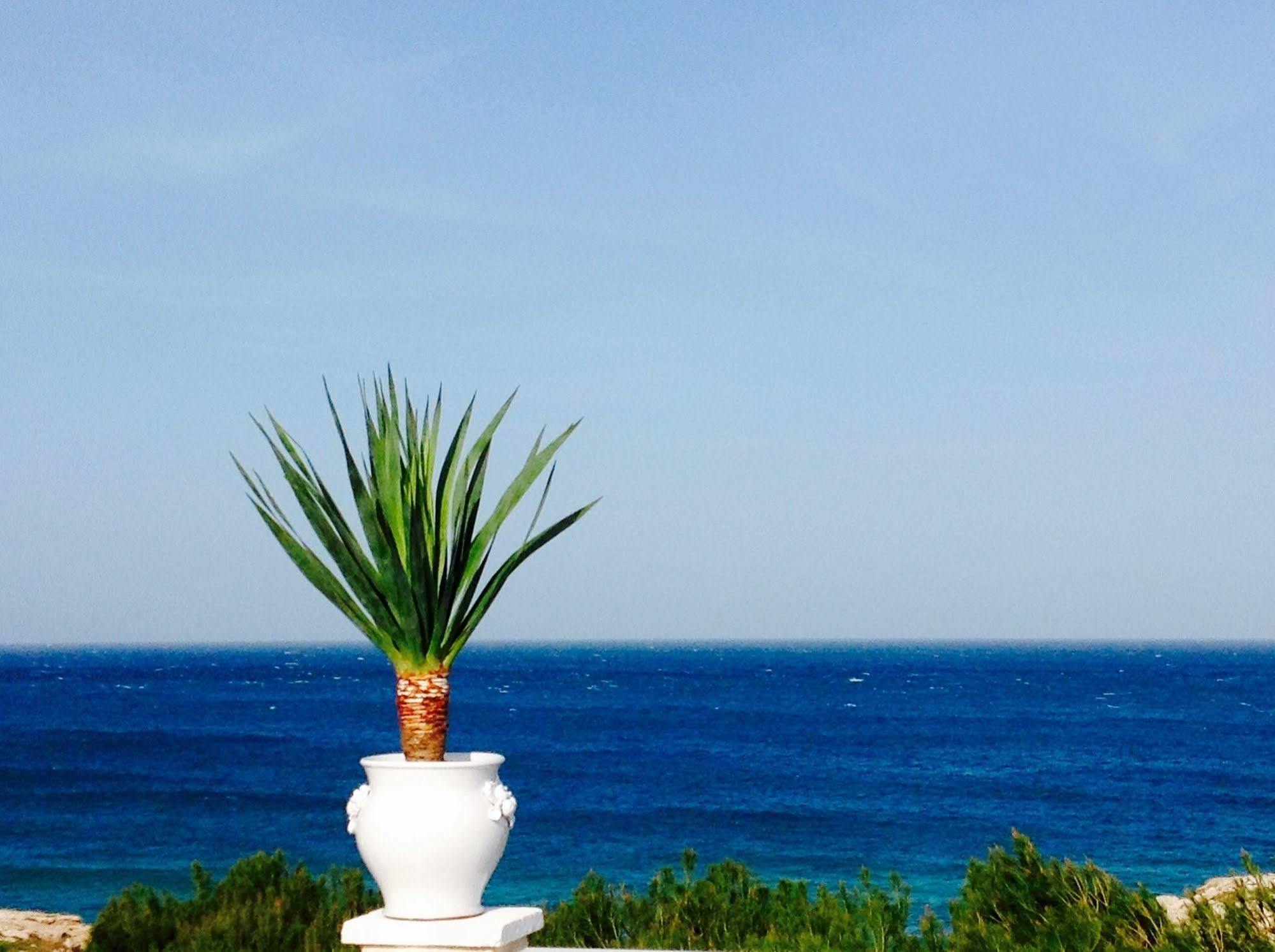Playa Del Mar - Adults Only Bed & Breakfast Monopoli Dış mekan fotoğraf